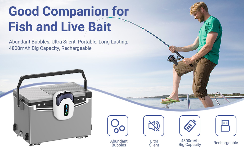 portable air pump